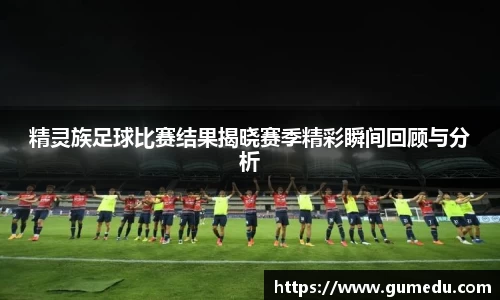 精灵族足球比赛结果揭晓赛季精彩瞬间回顾与分析