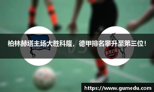 米兰体育官网