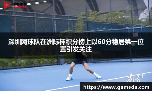 深圳网球队在洲际杯积分榜上以60分稳居第一位置引发关注