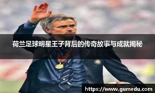 荷兰足球明星王子背后的传奇故事与成就揭秘