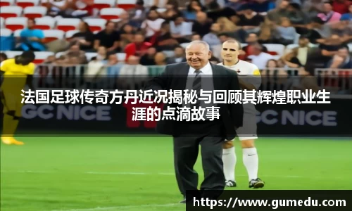 法国足球传奇方丹近况揭秘与回顾其辉煌职业生涯的点滴故事